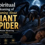 Spiritual Meaning of Dreaming About Giant Spider Dream Meaning