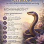 Spiritual Meaning of Dreaming About Snakes: A Gentle Guide to Snakes Dream Meaning